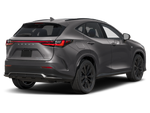 2024 Lexus NX 450h+ Luxury
