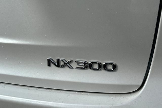 2019 Lexus NX 300 