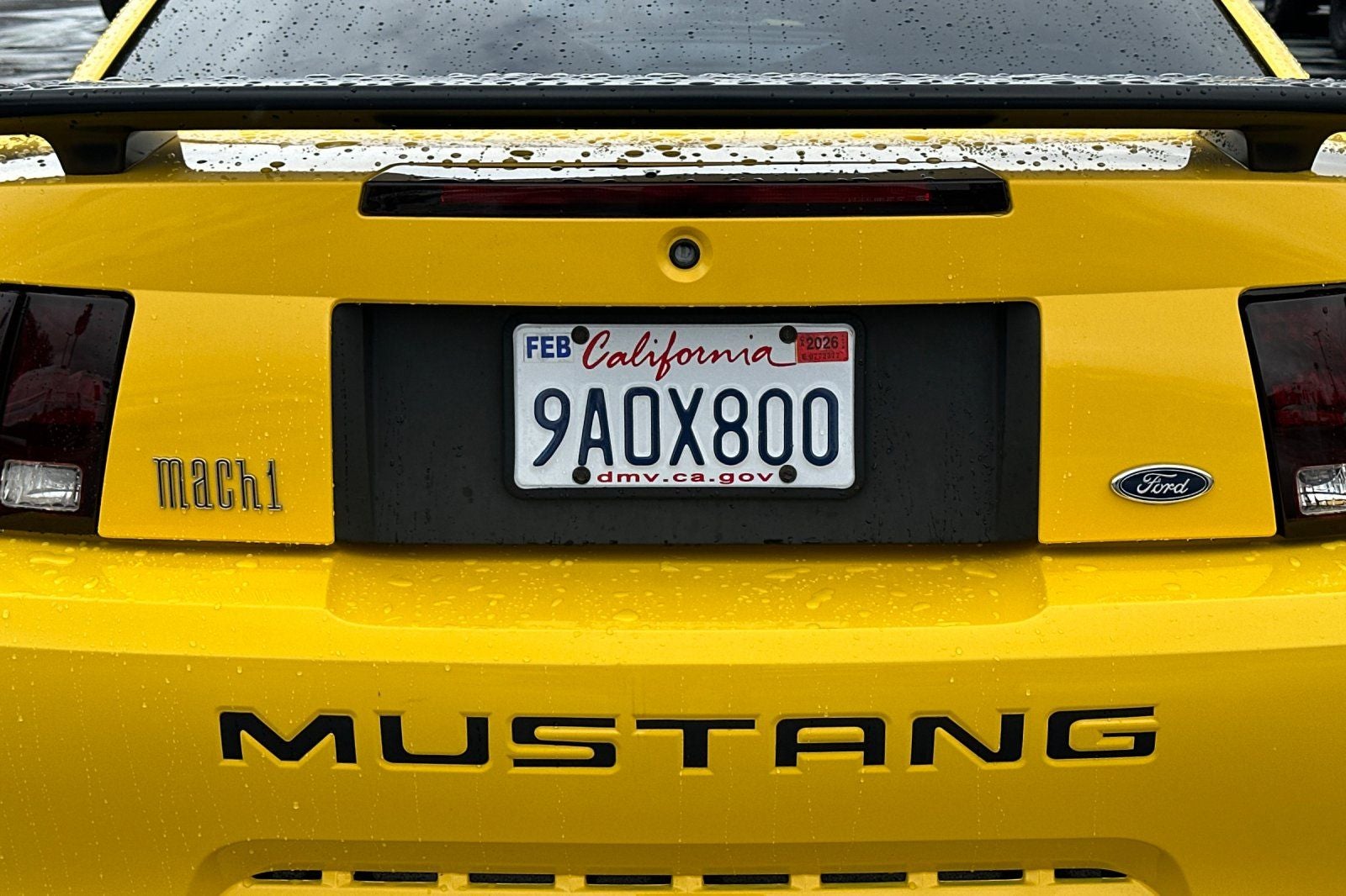 2004 Ford Mustang Mach 1 Premium