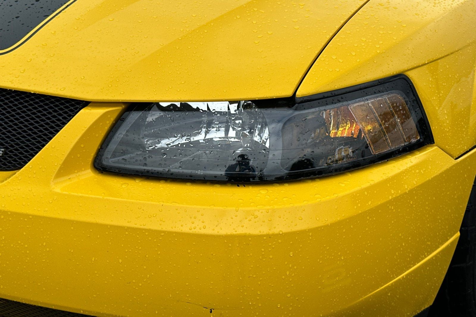 2004 Ford Mustang Mach 1 Premium