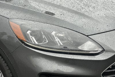 2021 Ford Escape SE Hybrid