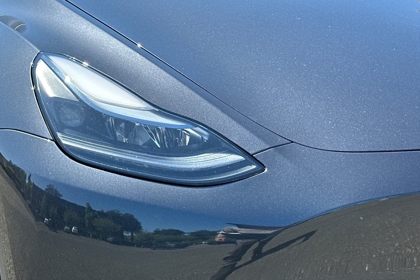 2025 Tesla Model Y Long Range