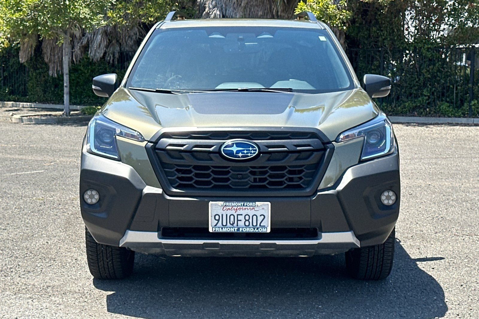 2025 Subaru Forester Wilderness